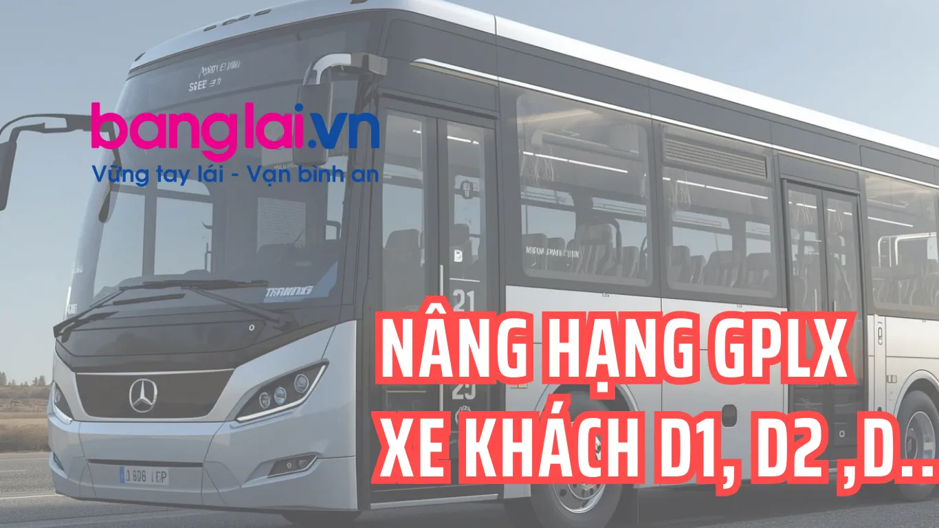 NÂNG HẠNG GPLX LÊN D1, D2, D....